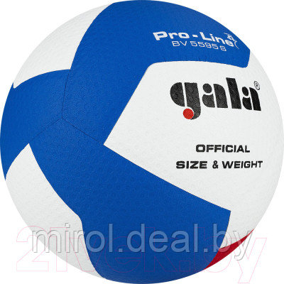 Мяч волейбольный Torres Gala Pro-Line 12 / BV5595SA - фото 2 - id-p226259827