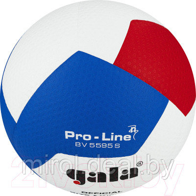 Мяч волейбольный Torres Gala Pro-Line 12 / BV5595SA - фото 3 - id-p226259827