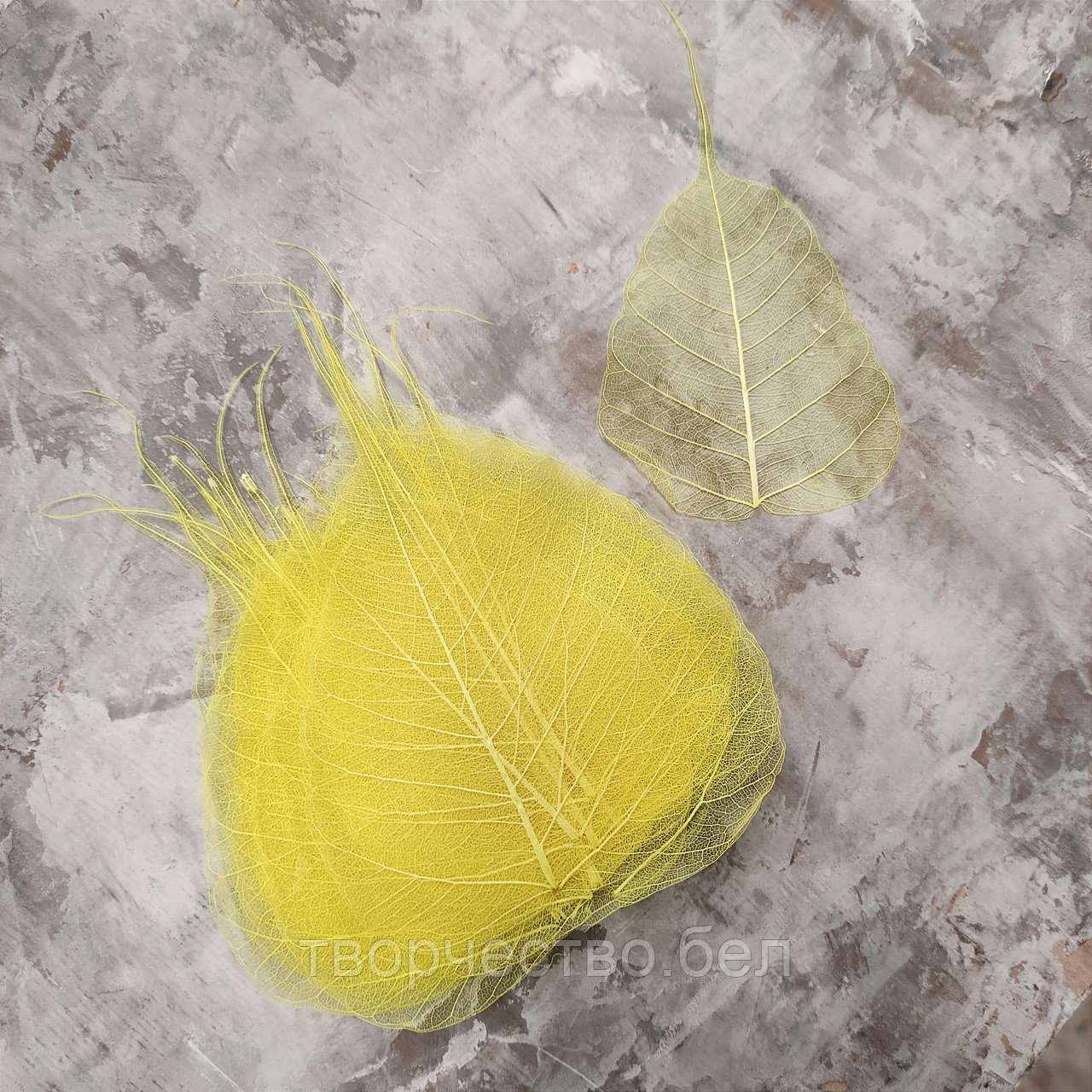 Листья скелетированные желтые для декора саше, свечей, 10 шт - фото 1 - id-p226263395