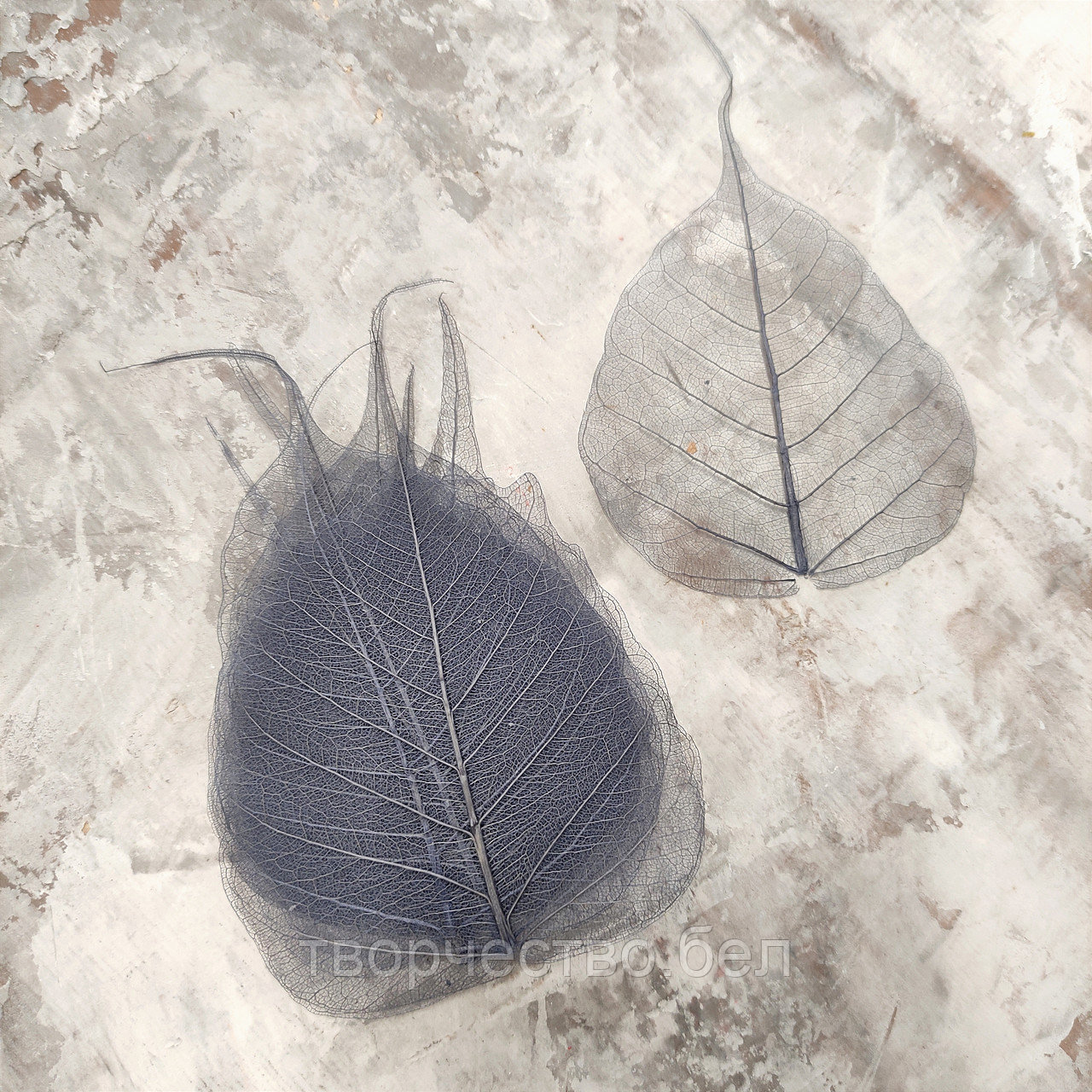 Листья скелетированные темно-синие для декора саше, свечей, 10 шт - фото 1 - id-p226265365