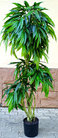Искусственное растение ForGarden Дерево Slim Mango / FGN BF01689