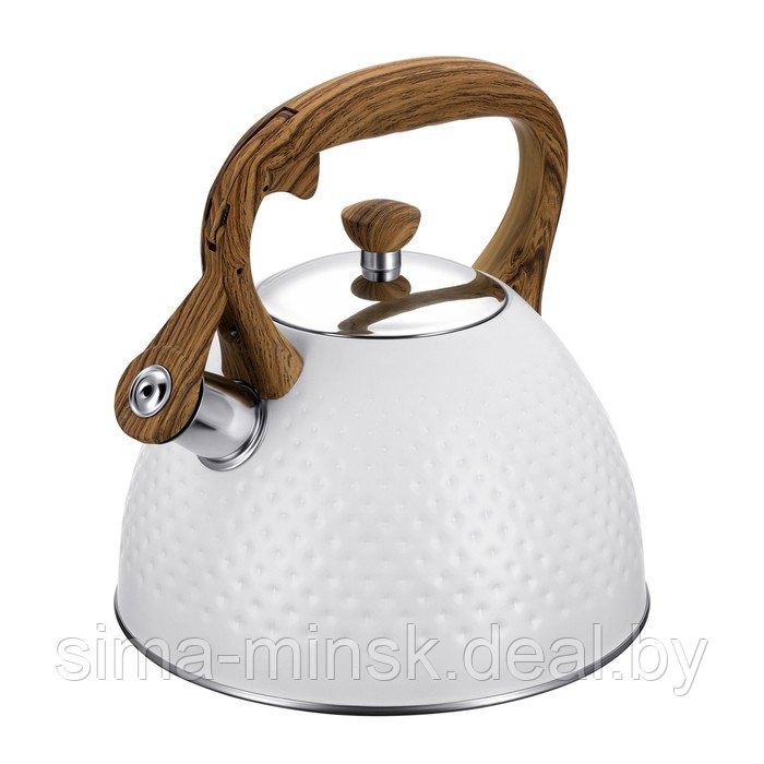 Чайник Regent inox Tea, со свистком, 2.8 л - фото 1 - id-p226266582