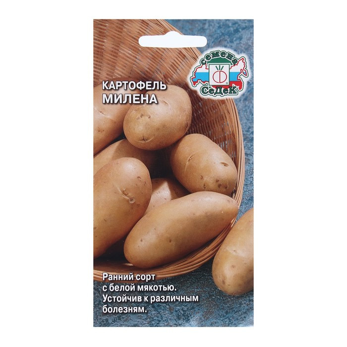 Картофель семена Милена 0,02г Седек - фото 1 - id-p226258380
