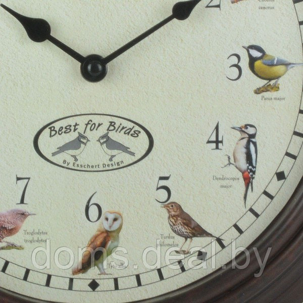 Уличные часы Clockbird Sounds Esschert Design Esschert Design Clockbird Sounds - фото 4 - id-p214278457