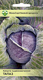 Семена Капуста краснокачанная Топаз (0,5 гр) МССО, фото 2