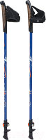 Палки для скандинавской ходьбы Ternua Walking Pole High Tide / 2640024-6263