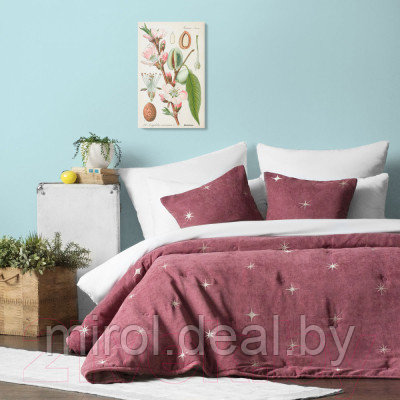 Набор текстиля для спальни Pasionaria Бэлли 160x220 с наволочками - фото 4 - id-p226306666