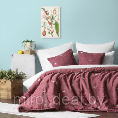 Набор текстиля для спальни Pasionaria Бэлли 160x220 с наволочками - фото 5 - id-p226306666