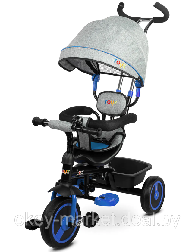 Велосипед трехколесный детский Toyz Buzz Caretero TOYZ-0331 - фото 1 - id-p60826586