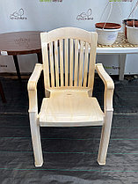 Пластмассовый стул - Кресло "Премиум-1". Серия «Лессир» [110-0010-lessir], фото 3