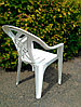 Пластиковый стул - Кресло для дачи "Престиж-2" [110-0034], фото 5