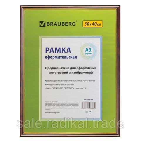 Рамка 30х40 см, пластик, багет 14 мм, BRAUBERG HIT, красное дерево с позолотой, стекло, 390259 - фото 1 - id-p226314127