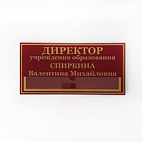 Кабинетная табличка №18 с карманом (размер 15*30 см)