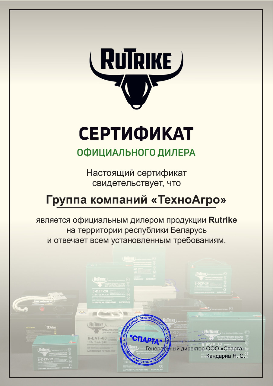 Тяговый гелевый аккумулятор RuTrike 6-EVF-120 (12V120A/H C3) - фото 2 - id-p226332273