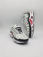 Кроссовки женские NIKE AIR MAX PLUS TN /подростковые /повседневные/весенние/летние 38