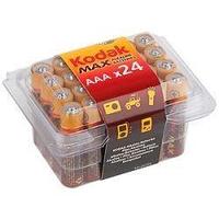 Kodak MAX LR6-24 plastic box [24 AA PVC] (24/480/19200) (24шт в уп-ке) (KAA-24)