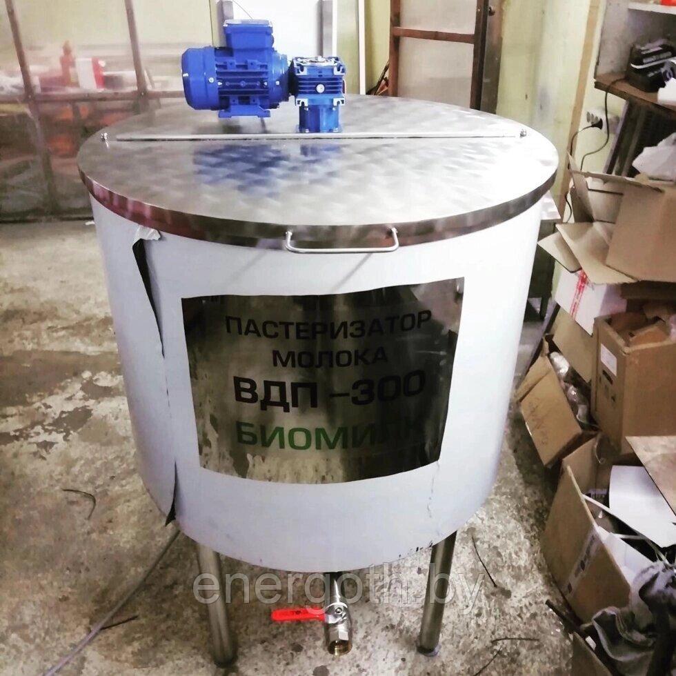 Пастеризатор молока ВДП-300 БиоМИЛК (Стационарный)