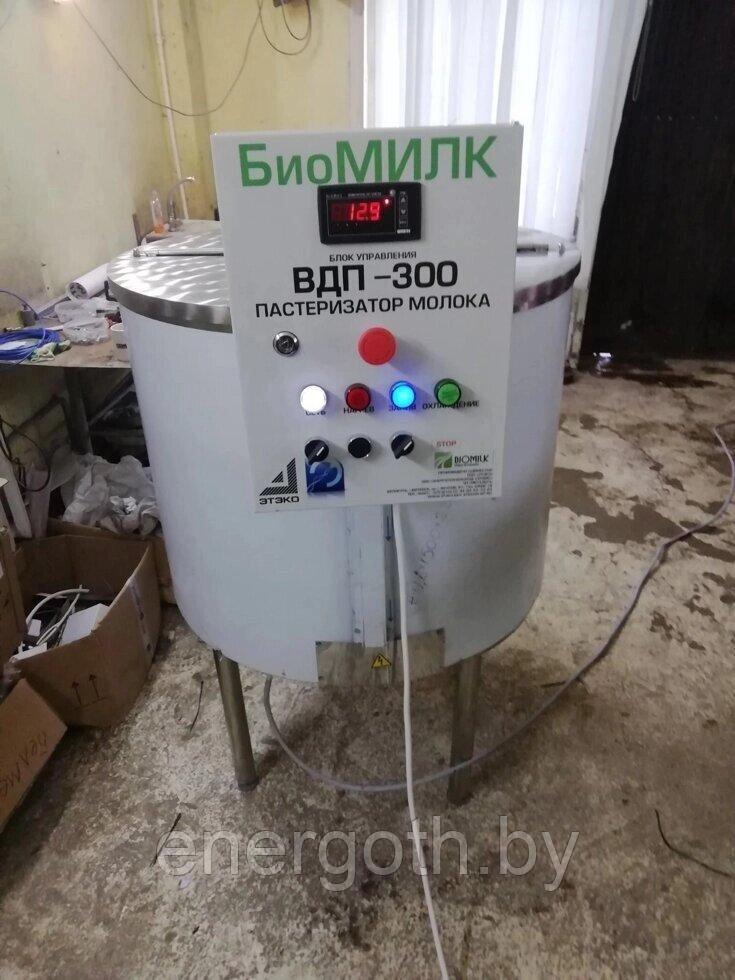 Пастеризатор молока ВДП-300 БиоМИЛК (Стационарный) - фото 6 - id-p226353274