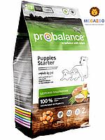 Сухой корм для щенков ProBalance Dog Starter 2 кг