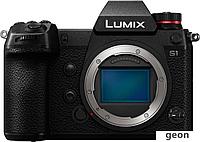 Беззеркальный фотоаппарат Panasonic Lumix DC-S1 Body