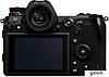 Беззеркальный фотоаппарат Panasonic Lumix DC-S1 Body, фото 3