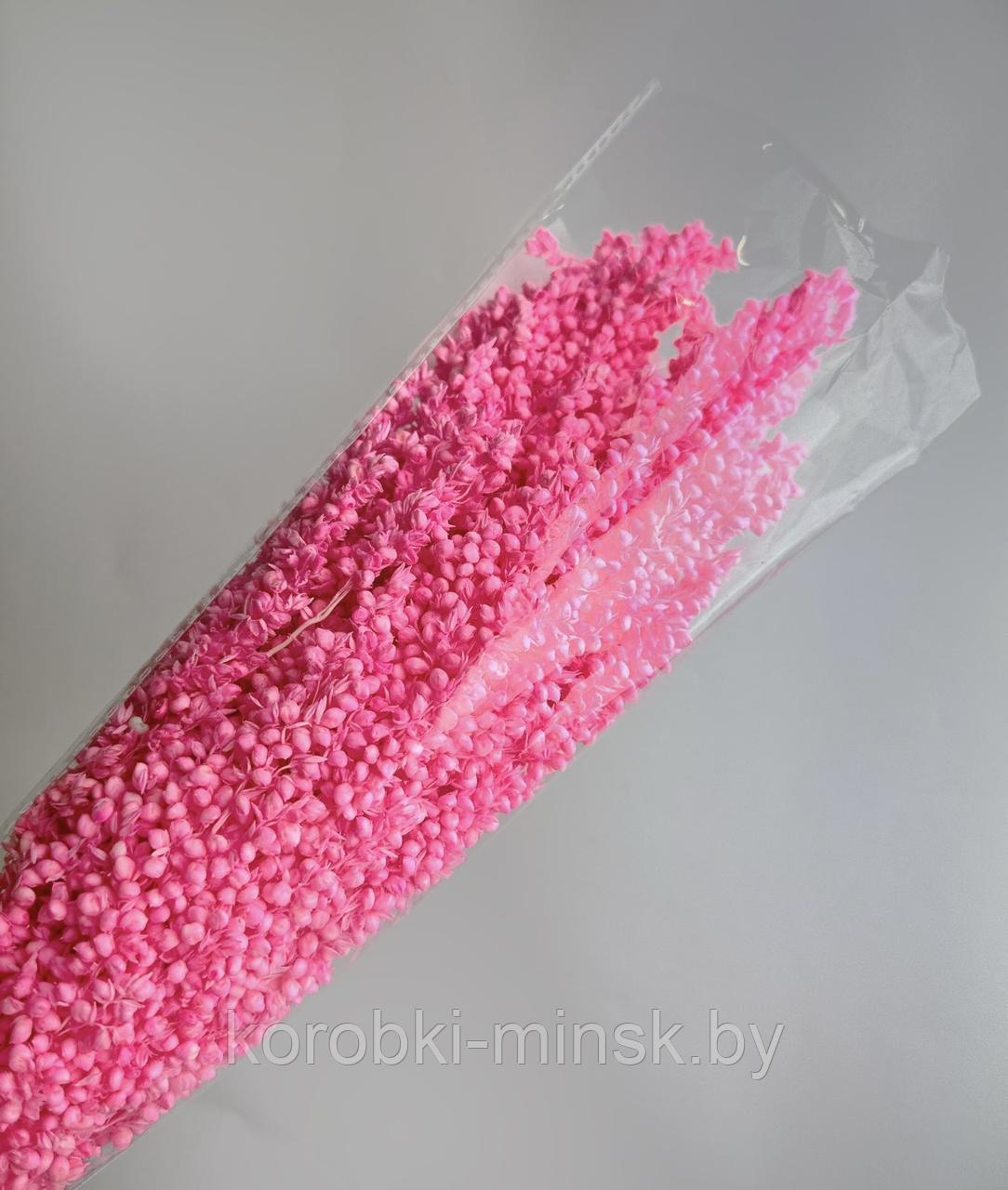 Сухоцвет "Сорго" Насыщенный розовый, длина 70-80 см, 130-180 гр/упак