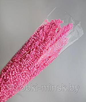 Сухоцвет "Сорго" Насыщенный розовый, длина 70-80 см, 130-180 гр/упак