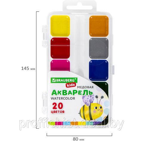 Краски акварельные BRAUBERG KIDS, медовые, 20 цветов, квадратные кюветы ЦЕНА БЕЗ НДС!!! - фото 6 - id-p226365769