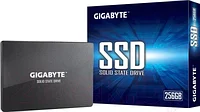 SSD диск Gigabyte 256GB (GP-GSTFS31256GTND)