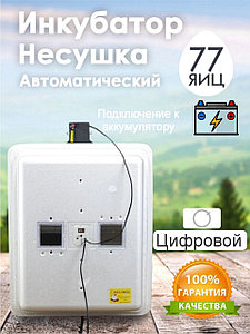 Инкубатор Несушка-77-ЭА+12В н/н 63