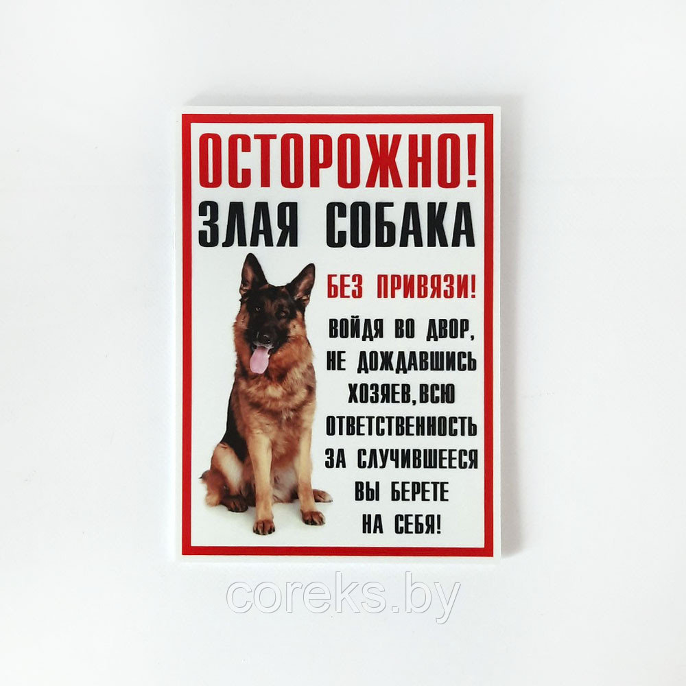 Табличка "Осторожно Злая собака" №35 (18*25 см)