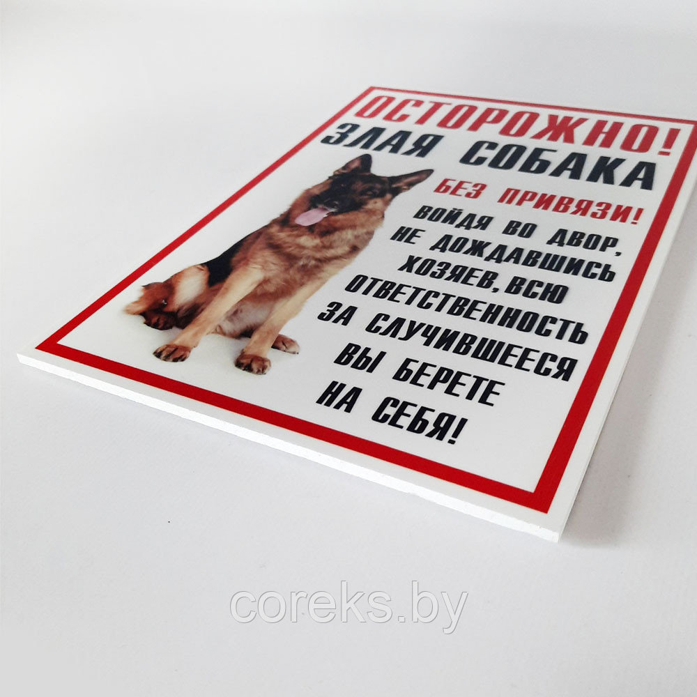 Табличка "Осторожно Злая собака" №35 (18*25 см) - фото 2 - id-p226369762