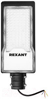 Светильник уличный Rexant ДКУ 01-100-5000К-ШС IP65 / 607-301