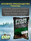 FishBerry Пеллетс карповый (палтус, цв. -бордовый) 12мм - 1 кг, фото 3