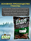 FishBerry Пеллетс карповый (палтус, цв. -бордовый) 10мм - 1 кг, фото 3