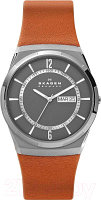 Часы наручные мужские Skagen SKW6786