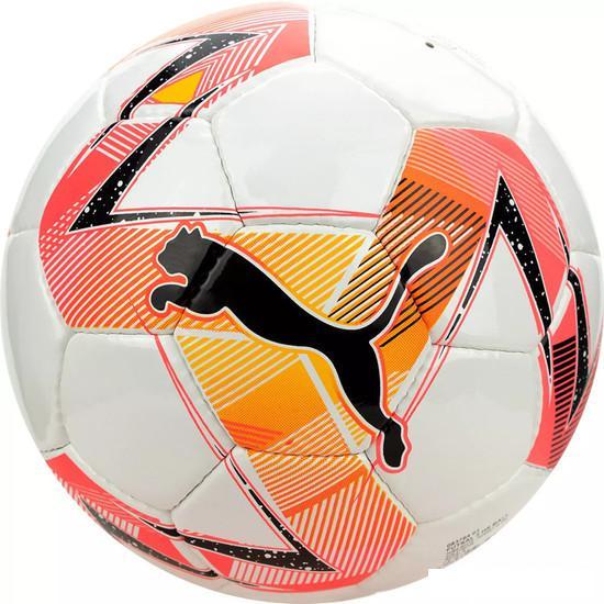 Футзальный мяч Puma Futsal 2 HS 08376401 (4 размер) - фото 1 - id-p225105475