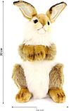 Классическая игрушка Hansa Сreation Кролик 3316З (30 см), фото 2