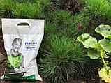 Удобрение FERTIKA Хвойное для Вечнозеленых FERTIKA (Весна 5 кг.), фото 5