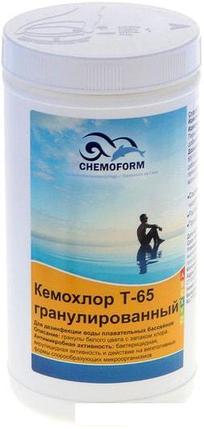 Chemoform Кемохлор T-65 гранулированный 1кг, фото 2