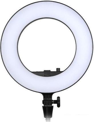 Кольцевая лампа Godox LR180 LED, фото 2
