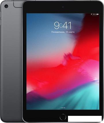 Планшет Apple iPad mini 2019 256GB LTE MUXC2 (серый космос), фото 2