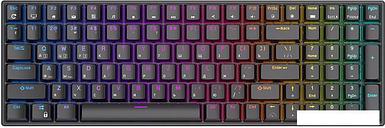 Клавиатура Royal Kludge RK100 RGB (черный, RK Red)