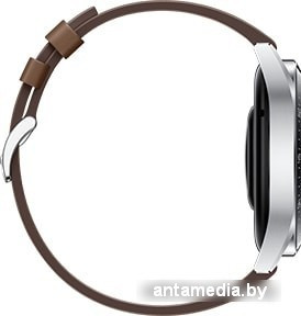 Умные часы Huawei Watch GT 3 Classic 46 мм - фото 5 - id-p226408579