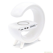 Многофункциональное устройство Goody, фото 3