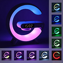 Многофункциональное устройство Goody, фото 2