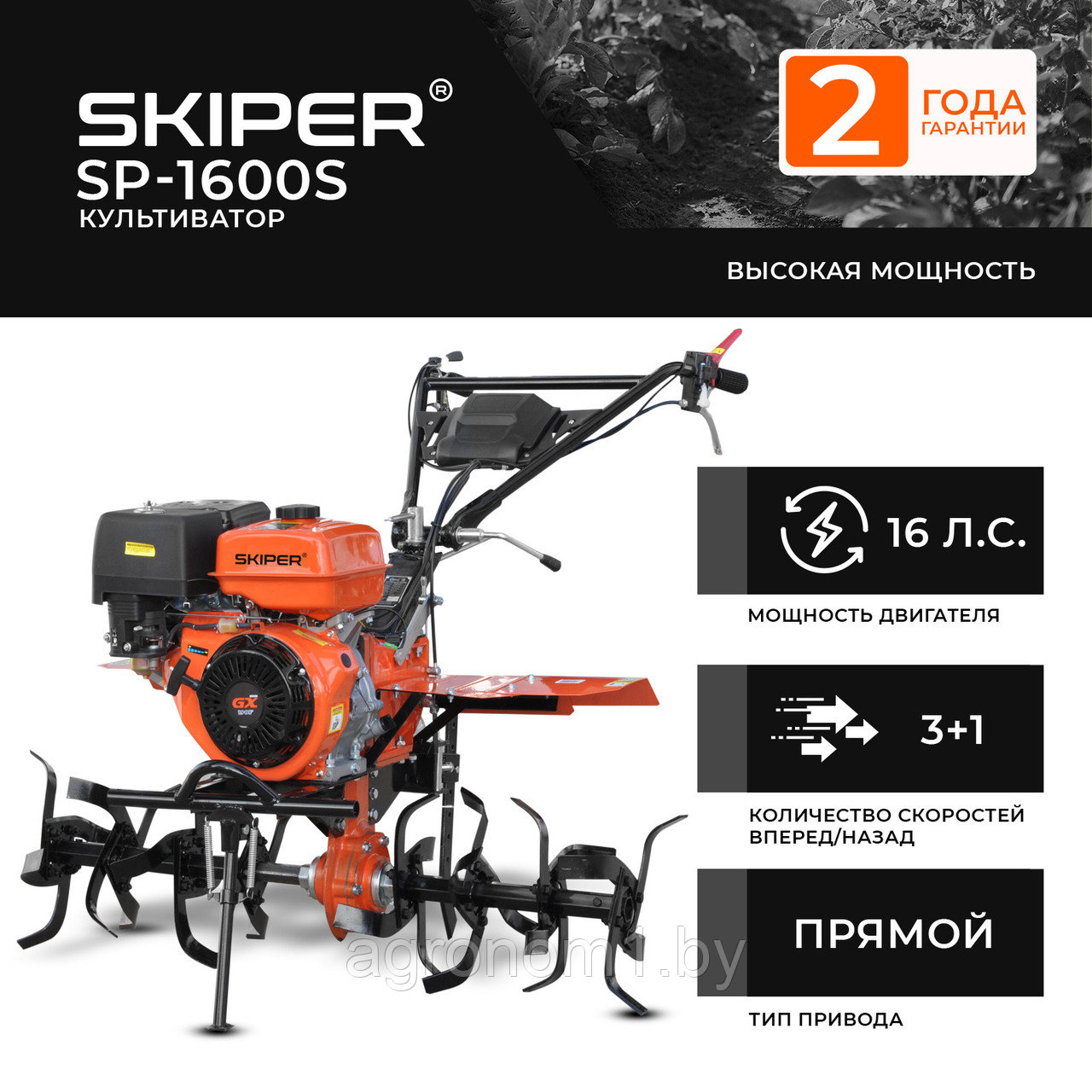 Культиватор SKIPER SP-1600S (16 л.с., без ВОМ, пон.передача, 3+1, 2 года гарантии, без колёс) - фото 1 - id-p177831810
