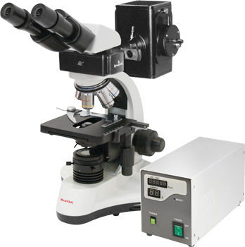 Микроскоп MicroOptix MX-300 F c оптикой ICO Infinitive (бинокулярный, флуоресцентный) - фото 1 - id-p226441369