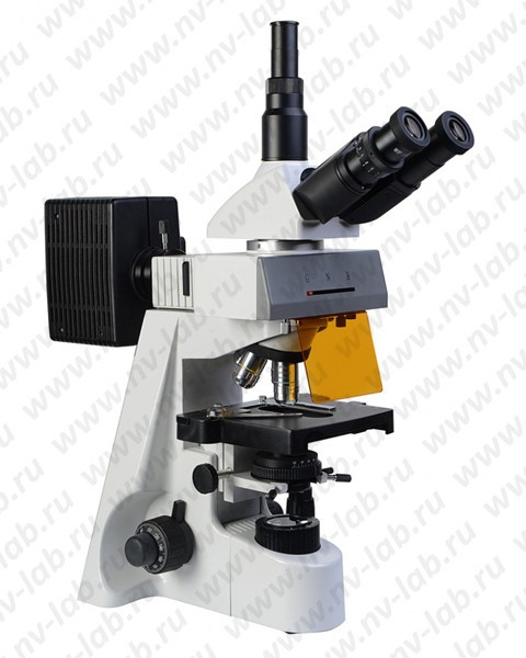 Микроскоп Микромед-3 ЛЮМ (тринокулярный, люминесцентный) - фото 1 - id-p226441406