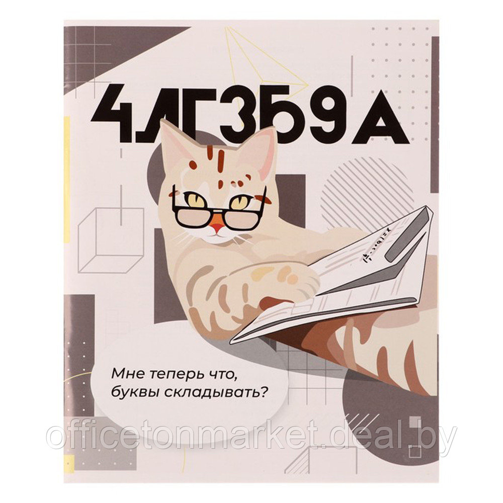 Тетрадь "Животные мемы. Алгебра", А5, 36 листов, клетка, разноцветный - фото 1 - id-p225598281